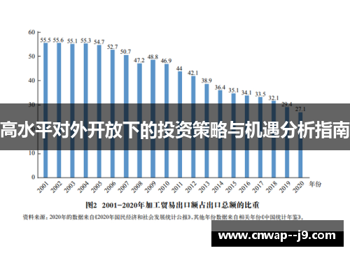 高水平对外开放下的投资策略与机遇分析指南 高水平对外开放下的投资策略与机遇分析指南
