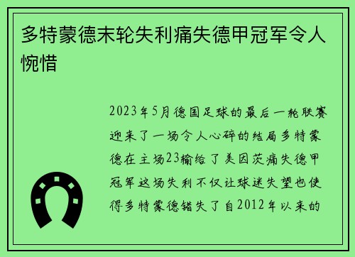 多特蒙德末轮失利痛失德甲冠军令人惋惜